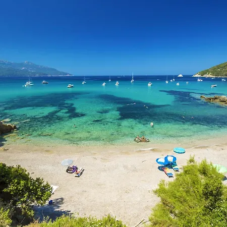 Paradiso